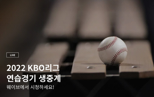 웨이브 제공